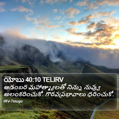 యోబు 40:10 TELIRV Bible Verse Image