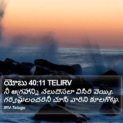 యోబు 40:11 TELIRV Bible Verse Image