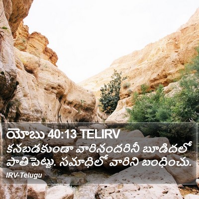 యోబు 40:13 TELIRV Bible Verse Image