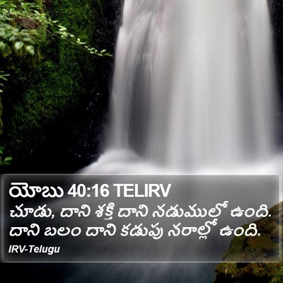 యోబు 40:16 TELIRV Bible Verse Image