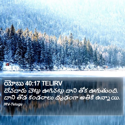 యోబు 40:17 TELIRV Bible Verse Image