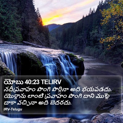యోబు 40:23 TELIRV Bible Verse Image