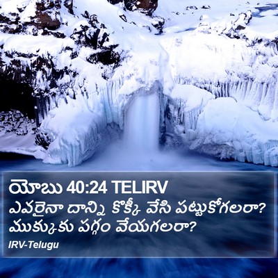 యోబు 40:24 TELIRV Bible Verse Image