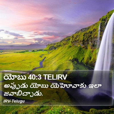 యోబు 40:3 TELIRV Bible Verse Image