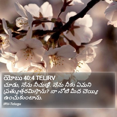 యోబు 40:4 TELIRV Bible Verse Image