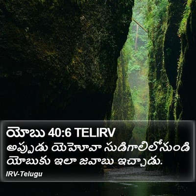 యోబు 40:6 TELIRV Bible Verse Image