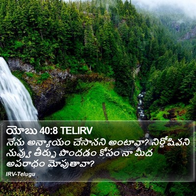 యోబు 40:8 TELIRV Bible Verse Image