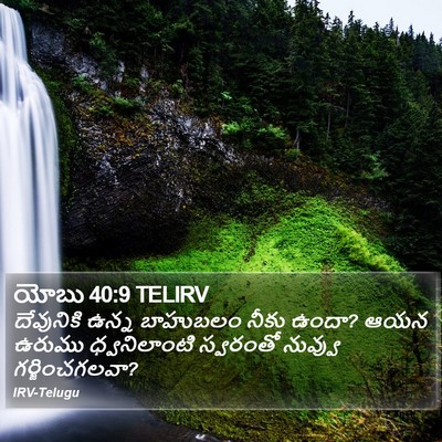 యోబు 40:9 TELIRV Bible Verse Image