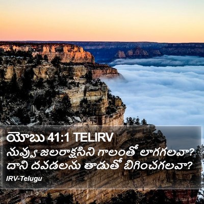 యోబు 41:1 TELIRV Bible Verse Image