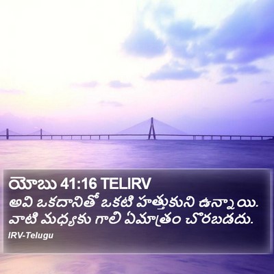 యోబు 41:16 TELIRV Bible Verse Image