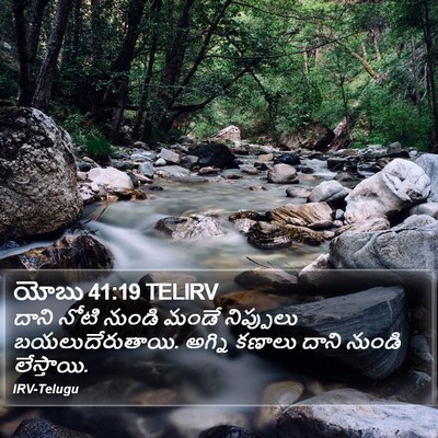 యోబు 41:19 TELIRV Bible Verse Image
