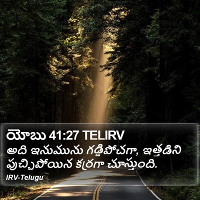 యోబు 41:27 TELIRV Bible Verse Image