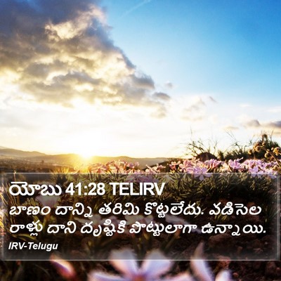 యోబు 41:28 TELIRV Bible Verse Image