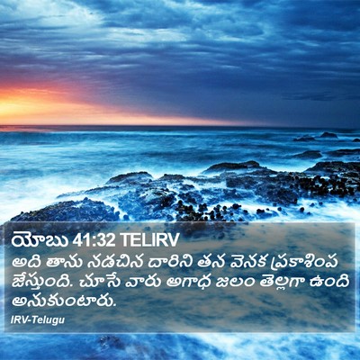 యోబు 41:32 TELIRV Bible Verse Image
