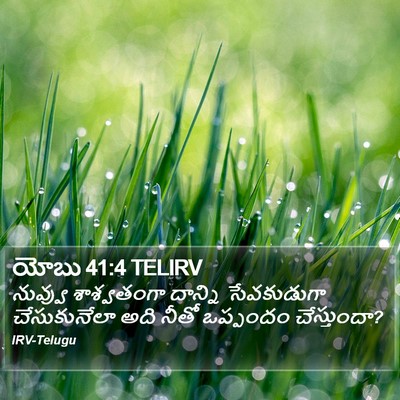 యోబు 41:4 TELIRV Bible Verse Image