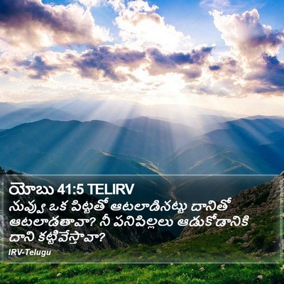 యోబు 41:5 TELIRV Bible Verse Image