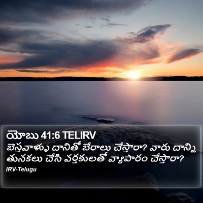 యోబు 41:6 TELIRV Bible Verse Image