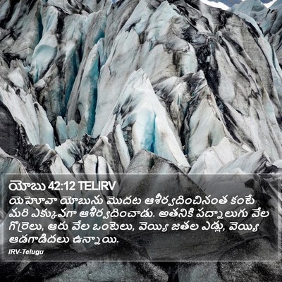 యోబు 42:12 TELIRV Bible Verse Image