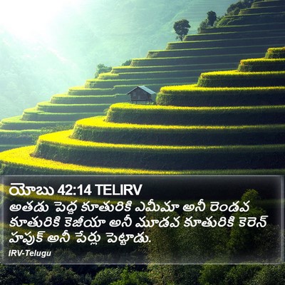 యోబు 42:14 TELIRV Bible Verse Image