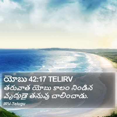 యోబు 42:17 TELIRV Bible Verse Image