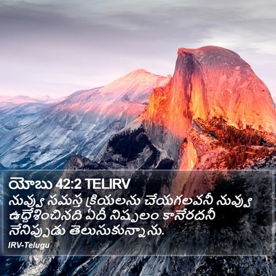 యోబు 42:2 TELIRV Bible Verse Image