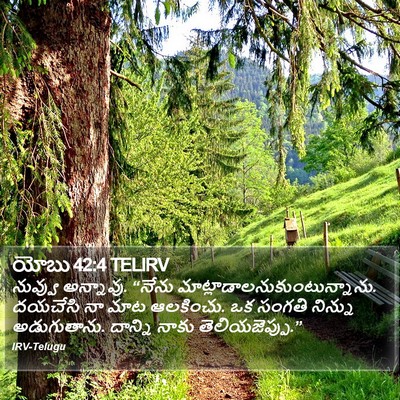 యోబు 42:4 TELIRV Bible Verse Image