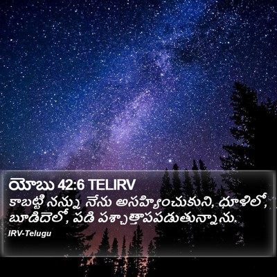యోబు 42:6 TELIRV Bible Verse Image