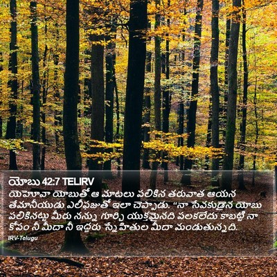 యోబు 42:7 TELIRV Bible Verse Image
