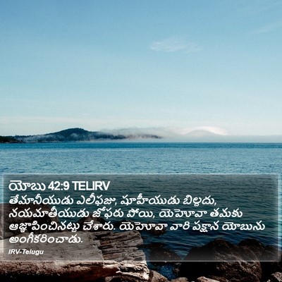 యోబు 42:9 TELIRV Bible Verse Image