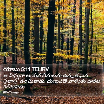 యోబు 5:11 TELIRV Bible Verse Image