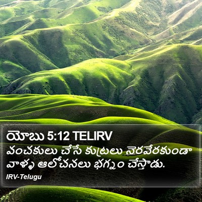 యోబు 5:12 TELIRV Bible Verse Image