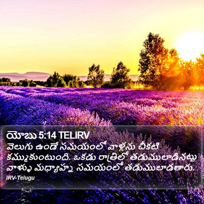 యోబు 5:14 TELIRV Bible Verse Image