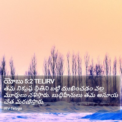 యోబు 5:2 TELIRV Bible Verse Image