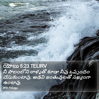 యోబు 5:23 TELIRV Bible Verse Image