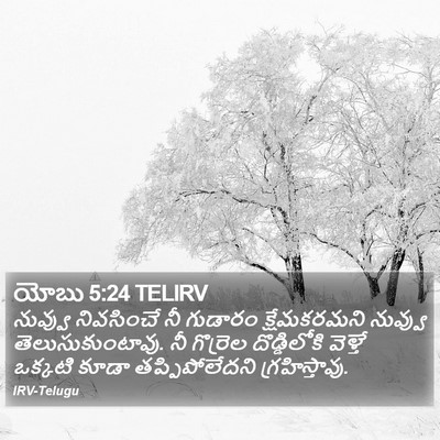 యోబు 5:24 TELIRV Bible Verse Image