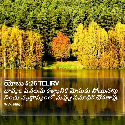 యోబు 5:26 TELIRV Bible Verse Image