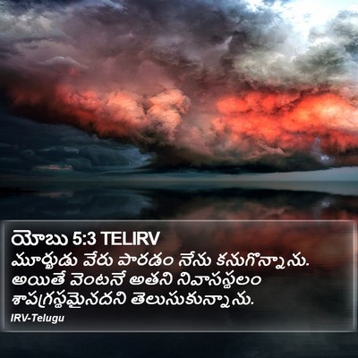 యోబు 5:3 TELIRV Bible Verse Image