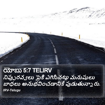 యోబు 5:7 TELIRV Bible Verse Image