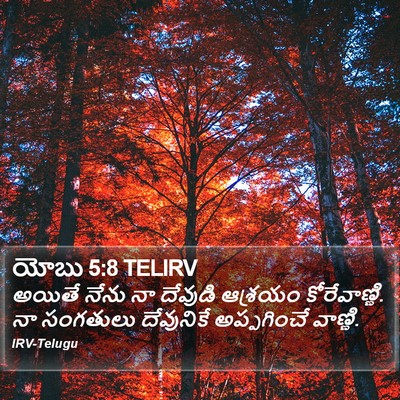 యోబు 5:8 TELIRV Bible Verse Image