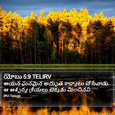యోబు 5:9 TELIRV Bible Verse Image