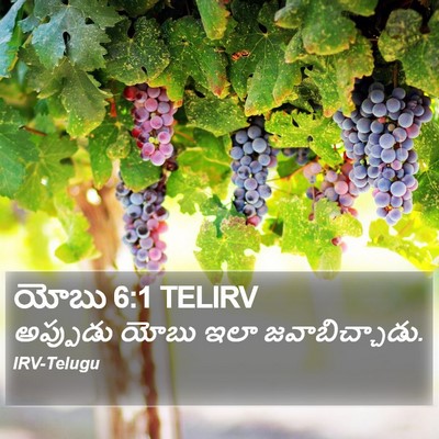 యోబు 6:1 TELIRV Bible Verse Image