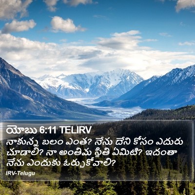 యోబు 6:11 TELIRV Bible Verse Image