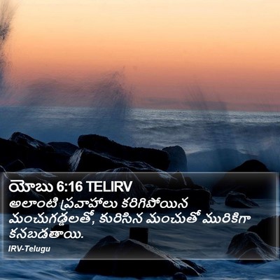 యోబు 6:16 TELIRV Bible Verse Image