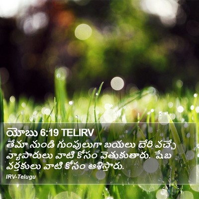 యోబు 6:19 TELIRV Bible Verse Image