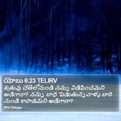 యోబు 6:23 TELIRV Bible Verse Image