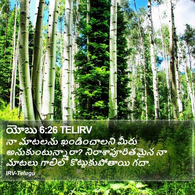 యోబు 6:26 TELIRV Bible Verse Image