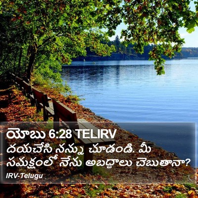 యోబు 6:28 TELIRV Bible Verse Image