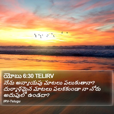 యోబు 6:30 TELIRV Bible Verse Image