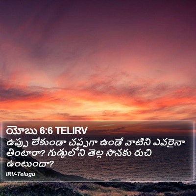 యోబు 6:6 TELIRV Bible Verse Image