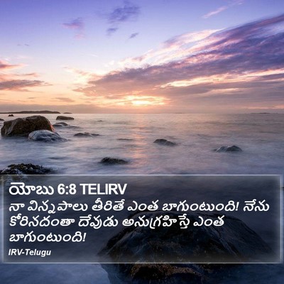 యోబు 6:8 TELIRV Bible Verse Image